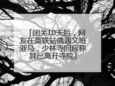 闭关10天后，网友在高铁站偶遇文班亚马，少林寺回应称其已离开寺院
